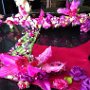 Orchid Harness and Leash Set